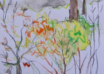 Become a Modern Day Bury New Road Naturalist!