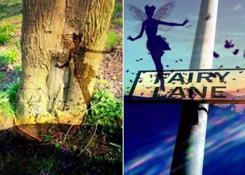 Fairies On Bury New Road