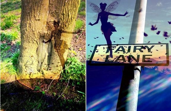 Fairies On Bury New Road