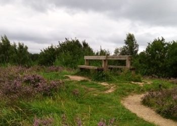 Hangings, Suicides and Ghosts on Kersal Moor