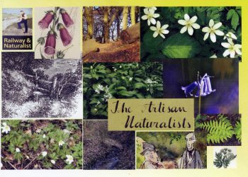 Artisan Naturalist Achievements