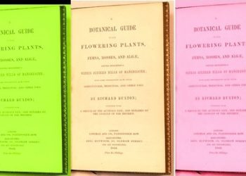Extracts From The Classic Richard Buxton Artisan Naturalist Botanical Guide