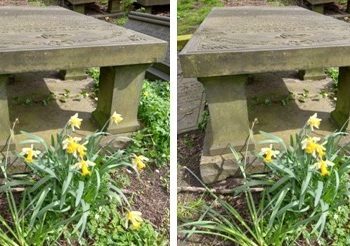 Who Were The Artisan Naturalists of Bury New Road?