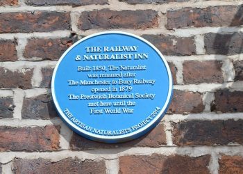 The Artisan Naturalists of Bury New Road