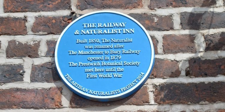 The Artisan Naturalists of Bury New Road