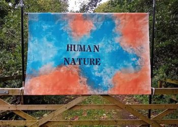 Louise Garman Artworks Show Lights Up Philips Park Forest