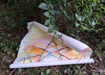 Bank Holiday Pop-Up Forest Garden Exhibition in Bury