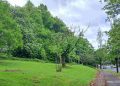 Help Plant Trees On Bury New Road